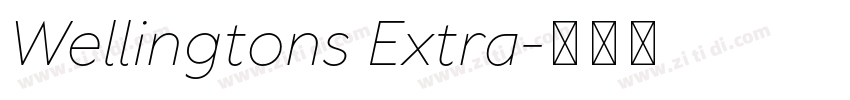 Wellingtons Extra字体转换 Wellingtons Extra字体转换